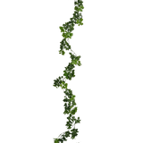 De Kunst slingerplant Gardenia 157 cm heeft een enkele, lange groene liaan met kleine blaadjes die verticaal tegen een effen witte achtergrond hangt.