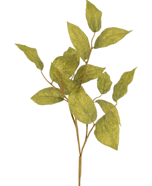 Een enkel Kunsttak appelblad 70 cm met meerdere dunne takken en groene, getextureerde bladeren tegen een effen witte achtergrond - ideaal voor luxe bloemstukken.