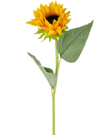 De Kunst Zonnebloem Real Touch 61cm heeft een enkele zonnebloem met heldergele bloemblaadjes, een donkerbruin hart en twee grote groene bladeren op een groene steel, geïsoleerd op een witte achtergrond.