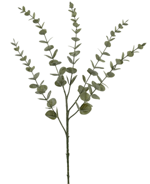 De Kunstbloem Eucalyptus Yugali 71 cm heeft een enkele stam met meerdere lange uitlopers versierd met kleine, ronde groene blaadjes. Deze kunstmatige eucalyptustak staat tegen een effen witte achtergrond.