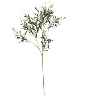 Het Kunst olijfblad 90 cm UV heeft slanke groene bladeren en dunne stelen, perfect om een mediterraan tintje aan elke ruimte te geven. Ideaal voor binnen- of buitendecoratie dankzij de UV-bestendigheid. Het ziet er prachtig uit op een witte achtergrond.