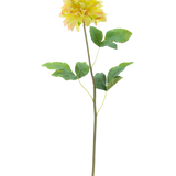 De Kunstbloem Dahlia Real Touch Champagne 73 cm heeft een realistische champagnekleurige dahliabloem met groene bladeren op een lange, slanke steel tegen een witte achtergrond.