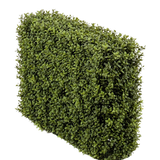De Kunst Buxushaag UV 70x20x50 cm, een dichte groene rechthoekige haag met kleine blaadjes, wordt getoond in een UV-beschermde kunststof plantenbak tegen een effen witte achtergrond.