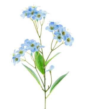 Een enkele groene stengel van de Kunstbloem Orchidee Real Touch Blauw 50 cm met meerdere trossen tere, lichtblauwe bloemen en groene bladeren, geïsoleerd op een witte achtergrond.