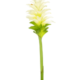 De Kunstbloem Turmeric 80 cm is een enkele kunstmatige geel-witte kurkuma bloem met gelaagde bloemblaadjes en een lange groene steel, geïsoleerd op een effen witte achtergrond.