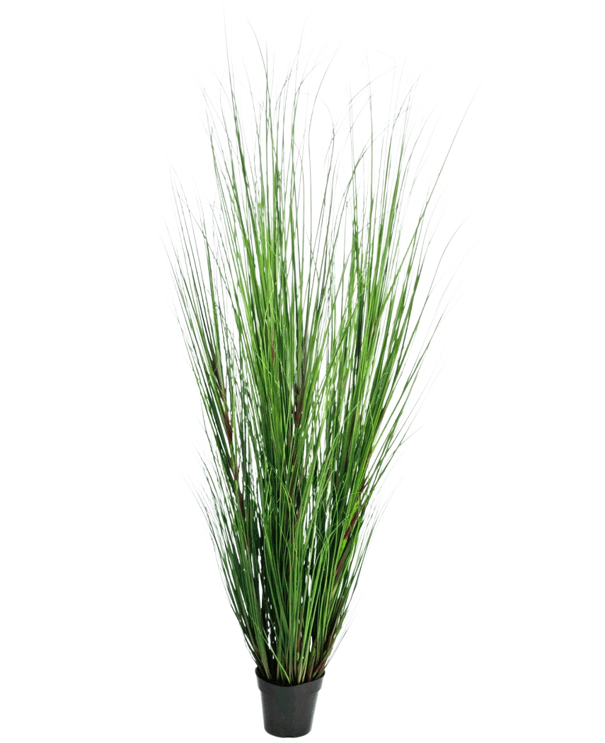 De Kunst Grasplant Onion 170 cm is een hoge, brandvertragende kunstgrasplant met lange, dunne groene sprieten in een compacte zwarte pot, afgebeeld tegen een effen witte achtergrond.