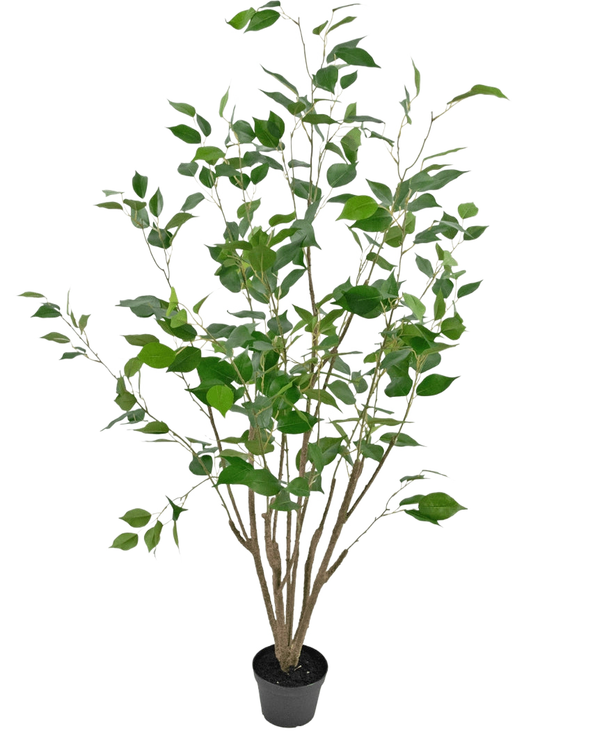 De Kunstplant Ficus 120 cm is een hoge kunstplant in pot met meerdere slanke bruine stengels en weelderige groene bladeren, in een compacte zwarte pot tegen een effen witte achtergrond.