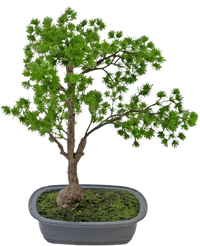Kunstplant Bonsai Juniper 40 cm