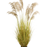 De Kunst Pampasgras 200 cm brandvertragend heeft vederlichte beige pluimen en groengele bladeren in een zwarte pot. Deze elegante kunstgrasplant voegt blijvende natuurlijke schoonheid en brandvertragende veiligheid toe aan elke ruimte.