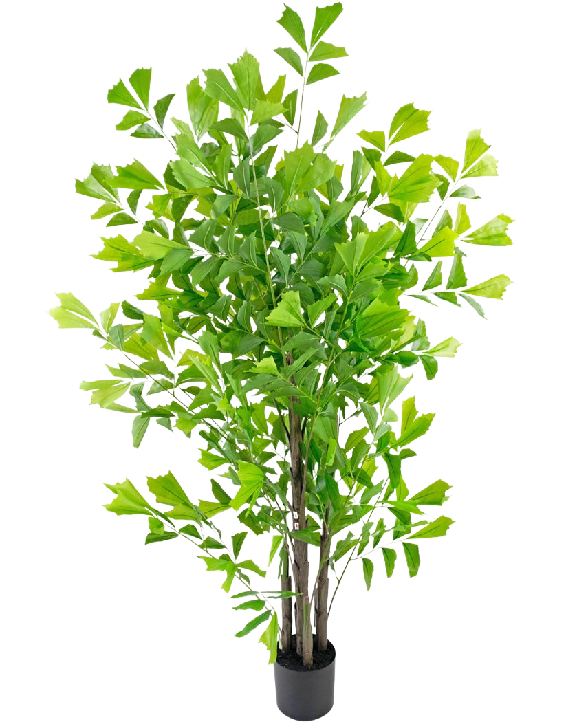 De Kunstplant Fishtailpalm 180 cm is een hoge kunstboom met meerdere slanke bruine stammen en dichte, heldergroene bladeren, in een kleine zwarte pot tegen een witte achtergrond.