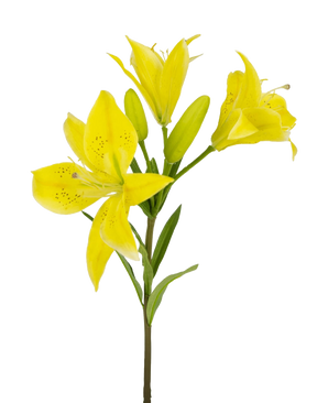 De Kunstbloem Aziatische Lelie 66 cm geel heeft meerdere bloeiende gele lelies met groene bladeren, gefotografeerd tegen een effen witte achtergrond.