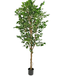 Kunstplant Ficus Groen 240 cm