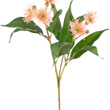 De Kunsttak Bloeiende Eucalyptus 62 cm oud roze heeft lange groene bladeren en ronde, piekerige lichtroze bloemen met gele hartjes, perfect als oud roze decoratie en afgebeeld geïsoleerd op een witte achtergrond.