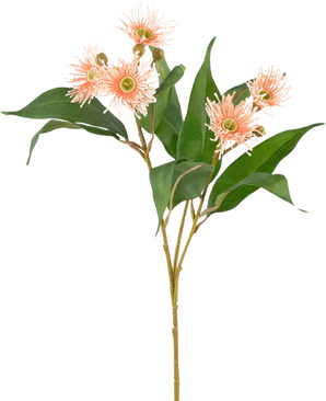 De Kunsttak Bloeiende Eucalyptus 62 cm oud roze heeft een enkele stengel met verschillende groene bladeren en trosjes lichtroze, stekelige, ronde bloemen met gele hartjes, geïsoleerd op een witte achtergrond.