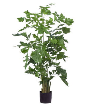 De Kunstplant Fishtail Palm 160 cm heeft meerdere slanke stelen met groene, gekartelde bladeren in een strakke zwarte pot. Hij is ideaal als kunstpalm, voegt een stijlvol accent toe aan elk modern interieur en steekt af tegen elke achtergrond.