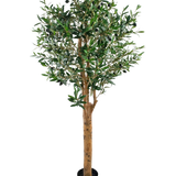 De Kunst olijfboom UV 155 cm is een Easyplants kunstplant in pot met een hoge bruine stam, dichte groene bladeren en kleine zwarte olijven, elegant tegen een effen witte achtergrond.