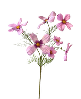 Een Kunstbloem Cosmos 74 cm roze stengel met meerdere roze bloesems en vederlicht groen blad, tegen een witte achtergrond.