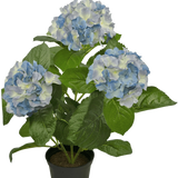 De Kunstplant Hortensia Blauw UV 35 cm heeft drie grote trossen lichtblauwe en witte bloemen met weelderige groene bladeren, gerangschikt in een pot tegen een effen witte achtergrond.
