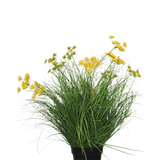 De Kunst Grasplant Asteraceae 70 cm brandvertragend heeft lange, dunne groene bladeren en trossen kleine gele bloemen in een zwarte pot, wat een onderhoudsvriendelijke kunstgrasplant is tegen een effen witte achtergrond.