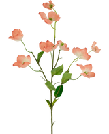 Het Kunstkornoelje Real Touch Lichtroze 74cm heeft een enkele steel met meerdere lichtroze kornoelje bloemen en groene bladeren, gepresenteerd tegen een witte achtergrond.