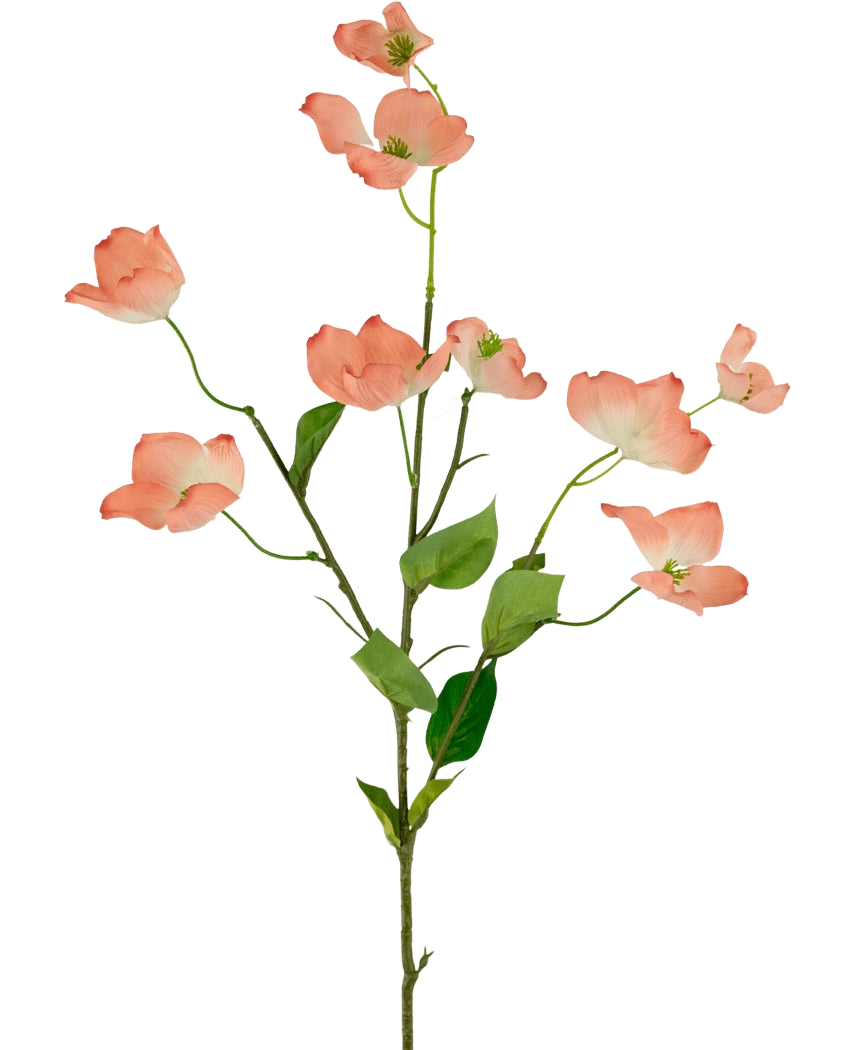 Het Kunstkornoelje Real Touch Lichtroze 74cm heeft een enkele steel met meerdere takken, elk versierd met lichtroze kornoeljebloemen en groene bladeren, tegen een effen witte achtergrond.