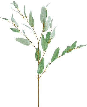 De Kunsttak Eucalyptus 86 cm groen heeft een enkele tak met slanke, ovale groene bladeren en dunne lichtbruine stengels op een witte achtergrond.