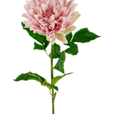 De Kunst Georgine Real Touch lichtroze 70cm is een enkele lichtroze dahlia met gelaagde bloemblaadjes en groene bladeren op een lange steel, tegen een effen witte achtergrond.