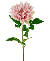 De Kunst Georgine Real Touch lichtroze 70cm heeft een enkele lichtroze dahlia met gelaagde bloemblaadjes en een lange groene stengel met verschillende bladeren, geïsoleerd op een witte achtergrond.