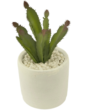 De Kunst vetplant 20 cm is een kleine groene vetplant met puntige bladeren in een pot met witte textuur gevuld met witte kiezels tegen een effen achtergrond.