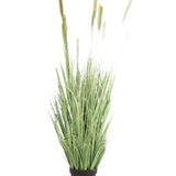 Kunst Grasplant Groen 160 cm brandvertragend heeft lange, slanke sprieten en zaadhoofden in een kleine zwarte pot. Ideaal als stijlvolle, brandvertragende nepplant voor elke ruimte.