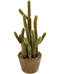 Kunst Cactus Cereus 35 cm