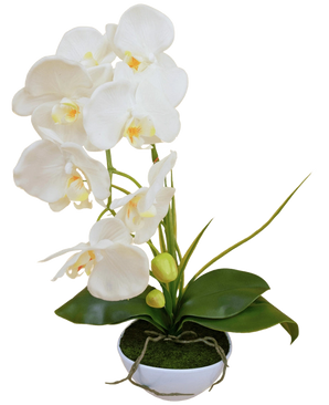 Kunst Orchidee 50 cm wit in pot met meerdere witte bloesems en groene bladeren, geplaatst in een ronde witte pot tegen een witte achtergrond.