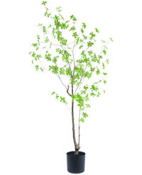 Kunstplant Enkianthus 150 cm