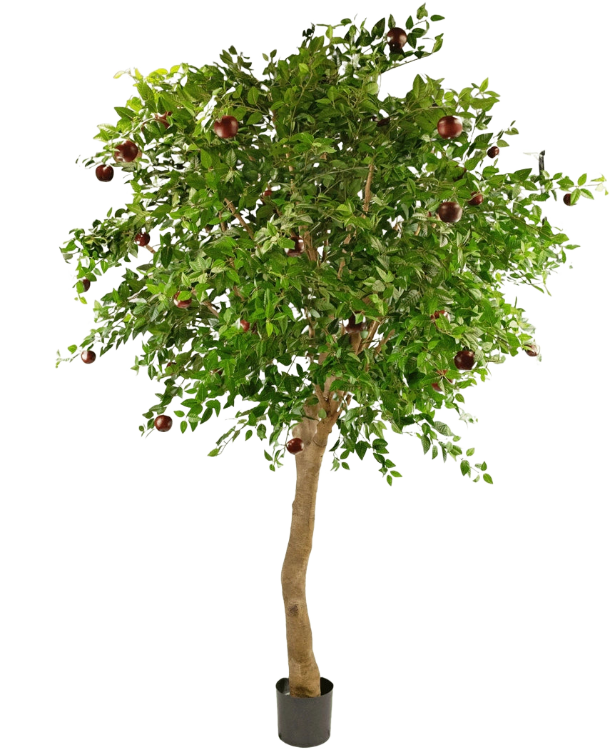 De Kunst Appelboom 240 cm is een hoge boom in pot met een dikke stam, dichte groene bladeren en verschillende rode appels aan de takken tegen een effen witte achtergrond.