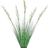 De Kunst Grasplant Tarwe 120 cm brandvertragend in een pot heeft hoge, rechtopstaande bladeren en bloeistengels, waardoor hij ideaal is voor een groene inrichting. Deze onderhoudsvrije plant voegt stijlvol groen toe tegen een witte achtergrond.