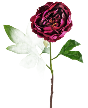 Een enkele Kunstbloem Pioenroos 61 cm in aubergine, met een diep bordeauxrode kunstpioenroos met meerdere groene bladeren op een lange steel, tegen een witte achtergrond.