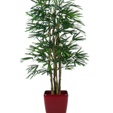 De Lady Kunstpalm 180 cm is een hoge kunstpalm met meerdere groene bladstelen, weergegeven in een glanzende rode vierkante plantenbak tegen een effen witte achtergrond.