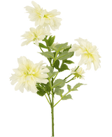 Een enkele stengel Kunstbloem Dahlia 60 cm lang met meerdere takken toont vijf grote, lichtgeel-witte dahlia bloemen en verschillende groene, gekartelde bladeren, geïsoleerd tegen een witte achtergrond.