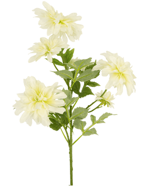 Een enkele stengel Kunstbloem Dahlia 60 cm lang met meerdere takken toont vijf grote, lichtgeel-witte dahlia bloemen en verschillende groene, gekartelde bladeren, geïsoleerd tegen een witte achtergrond.