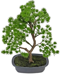 Kunstplant Bonsai Juniper 30 cm