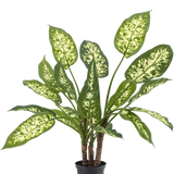 De Kunstplant Dieffenbachia 40 cm, met weelderige groene bladeren en licht geelwitte spikkels, staat elegant in stijlvolle sierpotten tegen een effen witte achtergrond.