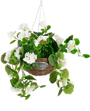 De Kunst begonia Wit in Mand UV 70cm is een hangende rieten mand met groene bladeren en witte begonia bloemen, opgehangen aan zilveren kettingen tegen een witte achtergrond.