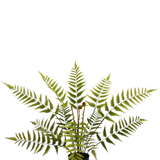 De Kunstplant Varen 68 cm heeft lange, vederlichte groene varenbladeren en wordt geleverd in een compacte zwarte pot, hier afgebeeld tegen een effen witte achtergrond.