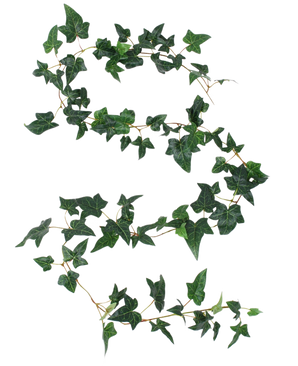 De Kunst Boston klimop slinger groen 180 cm UV heeft een lange klimoprank met groene, vijflobbige bladeren en dunne stengels in een vloeiende S-vorm op een witte achtergrond.