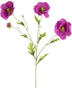 De Kunst Klaproos Real Touch Paars 65cm heeft een enkele groene stengel met verschillende takken, elk met levendige paarse bloemen en weelderige groene bladeren, allemaal prachtig geïsoleerd op een witte achtergrond.