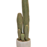 De Kunst Cactus 59 cm heeft drie lange, groene, geribbelde stengels van verschillende hoogte in een kleine ronde witte plantenbak, afgebeeld tegen een effen achtergrond.