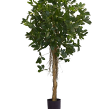 De Kunstplant Schefflera klein blad 150 cm heeft een hoge gedraaide stam en dichte trossen donkergroene bladeren tegen een effen witte achtergrond. Ideaal om een frisse toets aan je interieur te geven of om uit te stallen in stijlvolle sierpotten.