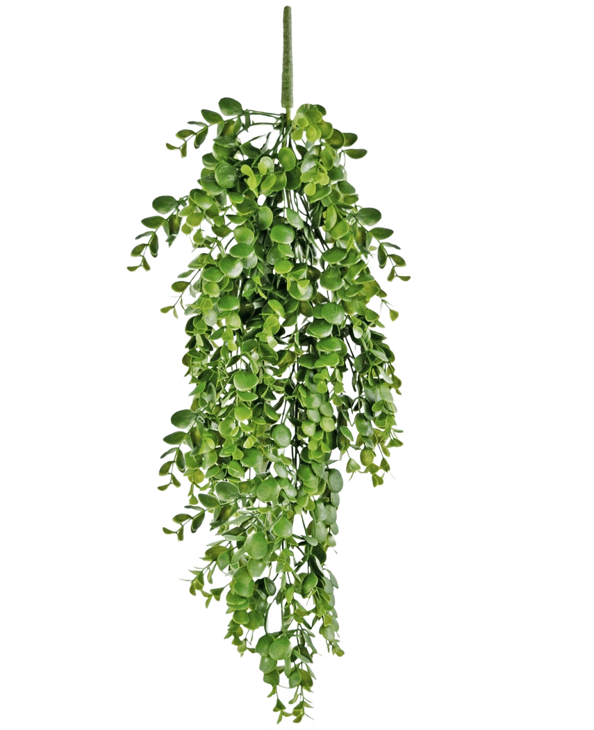 De Kunst hangplant Pannenkoek 61 cm heeft levendige groene kunstbladeren die naar beneden vallen tegen een effen witte achtergrond en lijkt op een echte hangende wingerd.