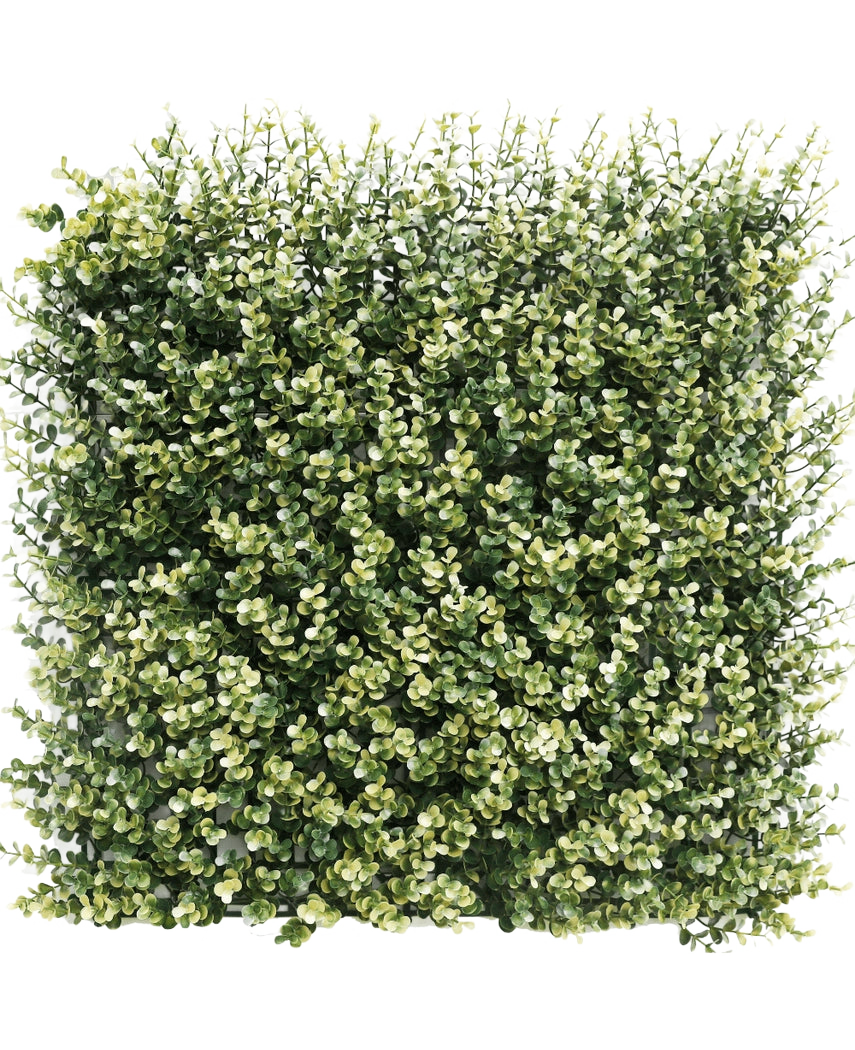Kunsthaag Buxus beige 50x50 cm UV: Dicht vierkant paneel van kunstgroen met kleine groene en beige bladeren, ontworpen om te lijken op een dikke haag of tuinmuur, tegen een effen witte achtergrond.