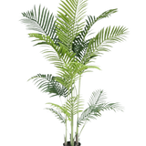 De Kunstplant Phoenix 160 cm is een hoge nepplant met slanke groene bladeren op meerdere stelen in een kleine zwarte pot, tegen een witte achtergrond voor een luxe uitstraling - perfect voor liefhebbers van tropische planten.